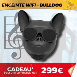 HAUT PARLEUR BULL DOG ROUGE