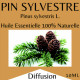 HUILE ESSENTIELLE PIN SYLVESTRE 10 ML